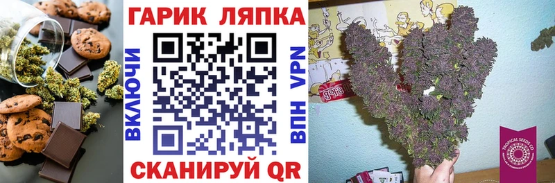 Cannafood марихуана  купить наркотик  Котлас 