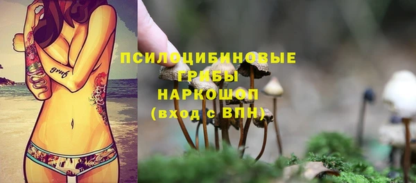 сатива Нягань