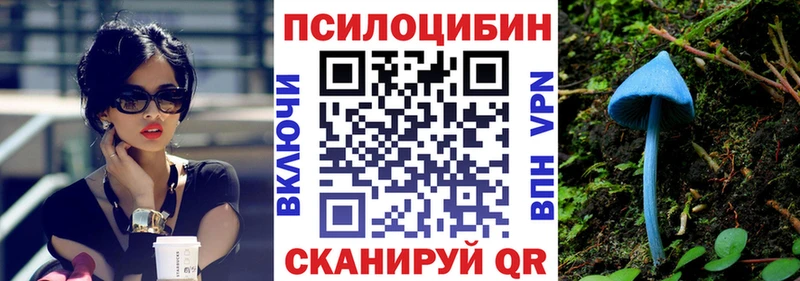 Галлюциногенные грибы Cubensis Котлас