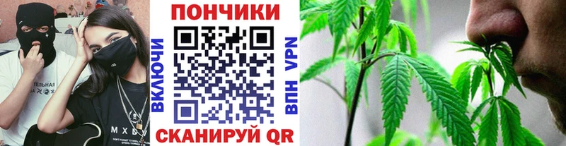 Конопля план  купить  цена  Котлас 