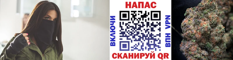 Конопля сатива Котлас